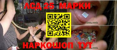 шишки Долгопрудный