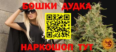 шишки Долгопрудный