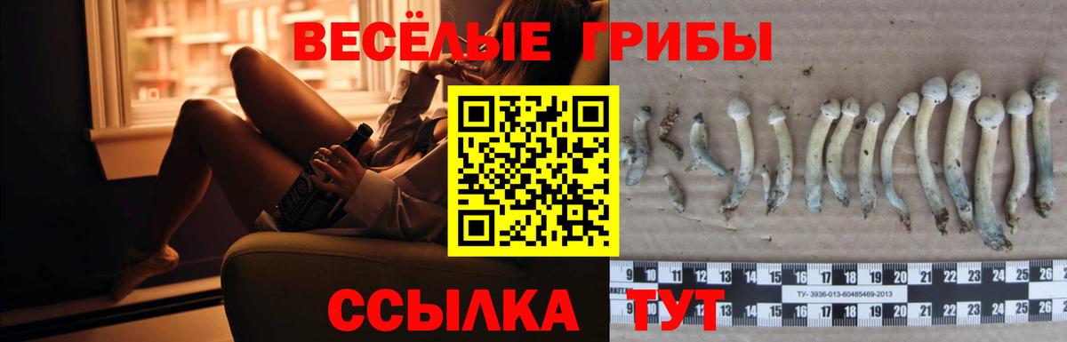 Заволжье  наркота  Вход с VPN  Псилоцибиновые грибы мицелий 